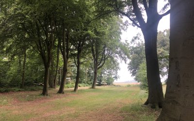 Yoga met kettingzagen en langsrazende treinen